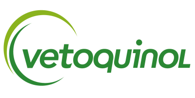 Vetoquinol_Logo_Corporate EN V2 No tagl